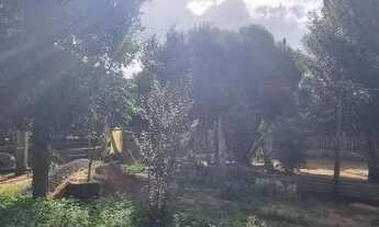 Imagem 2: Velleda oferece perfeito sítio, na Águas Claras