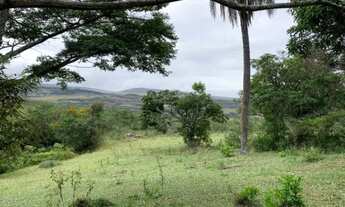 Imagem 3: Fazenda de 122 ha, nascente de água cristalina (Temos varias opções)
