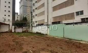 Imagem 5: Terreno - Bosque - Campinas