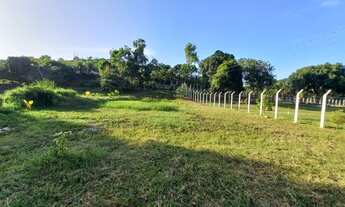 Imagem 7: Terreno em Pirapama - Cabo de Santo Agostinho
