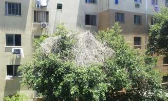 Imagem 5: Apartamento para Aluguel - Harmonia, 2 Quartos, 40 m2