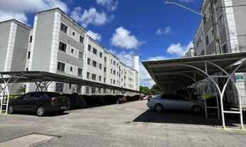 Imagem 1: Alameda Jardins 63435