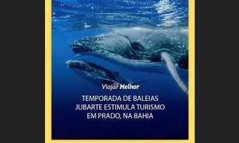 Imagem 4: Chácaras próximas á praia . Prado. Bahia