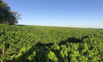 Imagem 2: Fazenda / Sítios / Chácaras com 2 dormitórios à venda em Campos Gerais