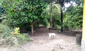 Imagem 7: Vendo casa condominio enseada de Jacuípe ( litoral norte