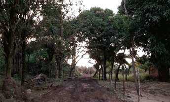 Imagem 4: TERRENO 16 HECTARES EM MARUDÁ