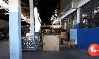 Imagem 7: São Paulo - Prédio Inteiro - Água Rasa