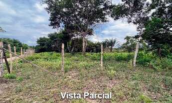 Imagem 4: Terreno - Parintins - AM