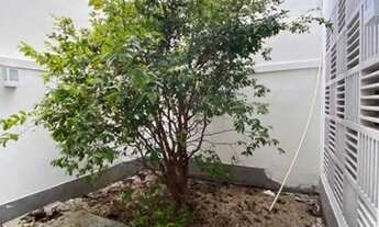 Imagem 3: ÓTIMA CASA COMERCIAL NA VILA NOVA CONCEIÇÃO