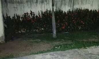 Imagem 6: Vende-se casa em Pedras