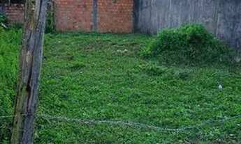 Imagem 4: Terreno medindo 6,5 de largura por 25 de comprimento