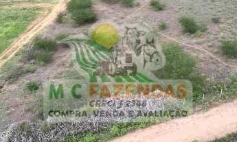 Imagem: Fazenda à Venda em Ribeira do Amparo