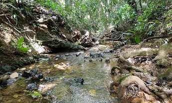 Imagem: Fazendinha 5.5 ha, piscina, córrego, terra