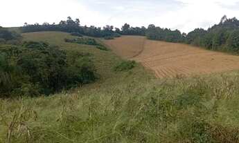 Imagem 2: Terreno Rural 7,5 alqueires