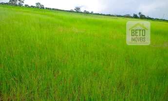 Imagem 7: Fazenda/Sítio/Chácara para venda com 240000000 metros quadrados