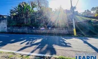 Imagem 6: TERRENO - SUÍSSA - SP