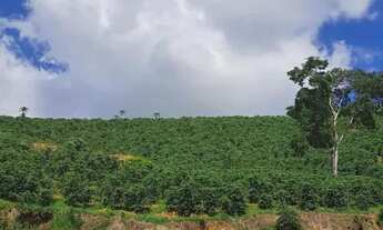 Imagem 6: Imóvel para venda com 92000 metros quadrados em Sao Tiago - Guaçuí - ES