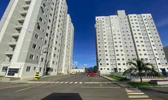 Imagem: Palmeira Dourada - 105 Norte