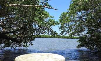 Imagem 3: Chácada com 6052m², no Francês com fundos pra lagoa!