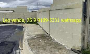 Imagem 4: Leo vende, Flor do sertão, 2