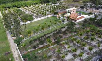 Imagem 4: Fazenda/Sítio/Chácara para venda tem 1000 metros quadrados com 9 quartos