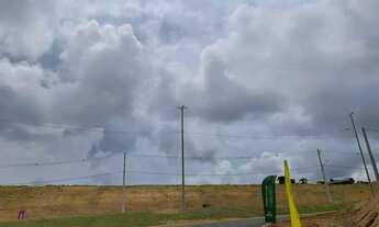 Imagem 5: Reserva dos Manaós