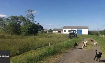 Imagem 7: Sítio 1 dormitórios à venda Pedreira Nova Santa Rita/RS