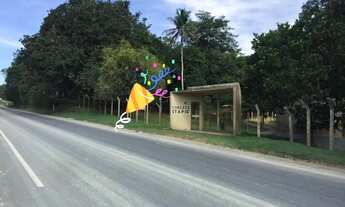 Imagem: Terreno no Km 25 da AM010, 250.000m2. Documentado