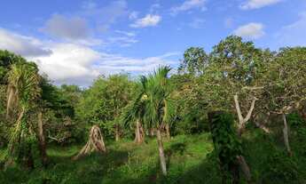 Imagem 4: Vendo ou troco este Terreno com área verde ação