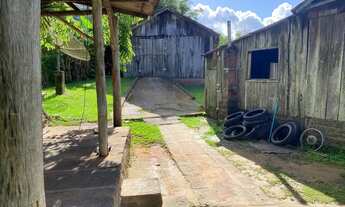 Imagem 7: Sítio Completo à Venda - 4 Hectares Escriturados em Taquara/RS