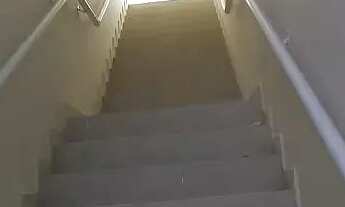 Imagem 6: Imóvel para aluguel tem 50 metros quadrados com 2 quartos em Vila Osasco - Osasco - SP