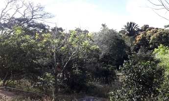 Imagem 2: FAZENDA EM CAMPO ALEGRE DE GOIÁS