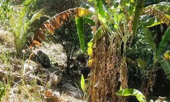 Imagem 3: Sito no Bairro Serrinha (De campo grande