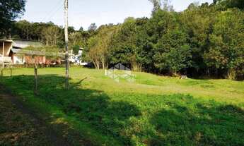 Imagem 7: Vendo chácara com 2 casa e muitas árvores frutíferas na Parada Crístal em Caxias do Sul