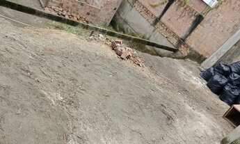 Imagem 2: Vendo ou troco terreno em Manaus