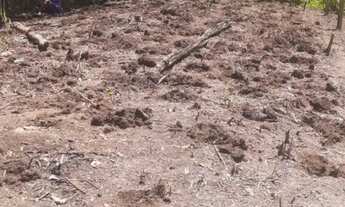 Imagem 5: Vende-se terreno Para sítio em Aruja