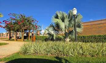 Imagem: Setor Habitacional Tororó (Jardim Botânico