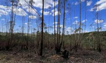 Imagem: Lotes de 500m² em Ibiúna, perto da represa
