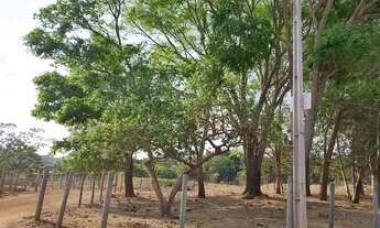 Imagem: Chácara na Gameleira de Goiás