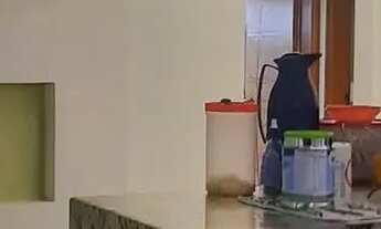 Imagem 2: Lindo apartamento com 2 quartos e vaga de garagem Colubandê - São Gonçalo - RJ