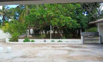 Imagem 6: Linda chácara para lazer ou moradia!