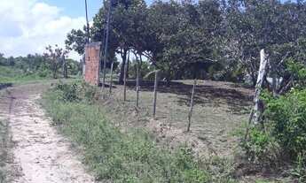 Imagem 6: BAIRRO: ESTIVA Área de terreno a venda de 69 mil m2 - Ilha de São Luís