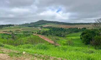 Imagem: VENHA PARA COTIA, PEGAMOS SEU CARRO COMO