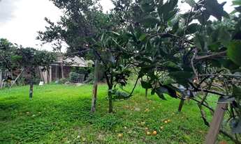 Imagem 4: TERRENO VILA NOVA NOVO HAMBURGO