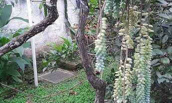 Imagem 3: Terreno com 504m² - Córrego Grande em Florianópolis/Sc