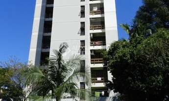 Imagem: NOVO HAMBURGO - Kitchenette/Conjugados