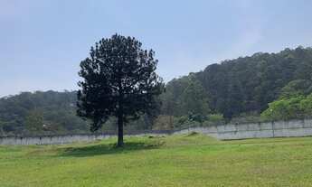 Imagem 3: Lote/Terreno para venda possui 2900 metros quadrados em Tamboré - Barueri - SP