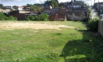 Imagem 7: Vendo Terreno em Santo Aleixo em Jaboatão Velho com 1.580m²