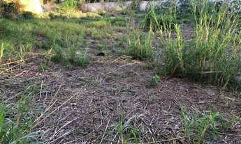 Imagem 5: Chácara com 1 quartos, 533m2, à venda - Chácaras Santo Antonio do Jardim - Jaguariúna