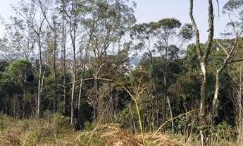 Imagem 3: Terreno na Indio Tibiriça